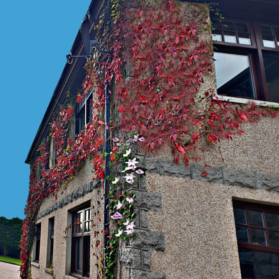 Bogenraith House Hotel Banchory Exterior foto
